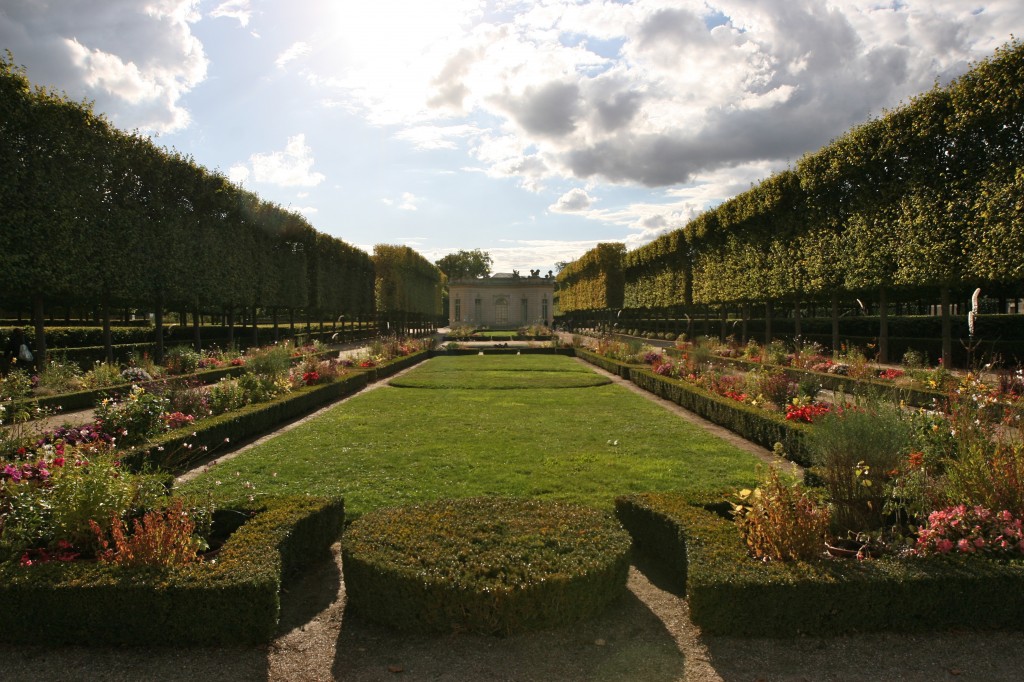 Hedges at Versaille