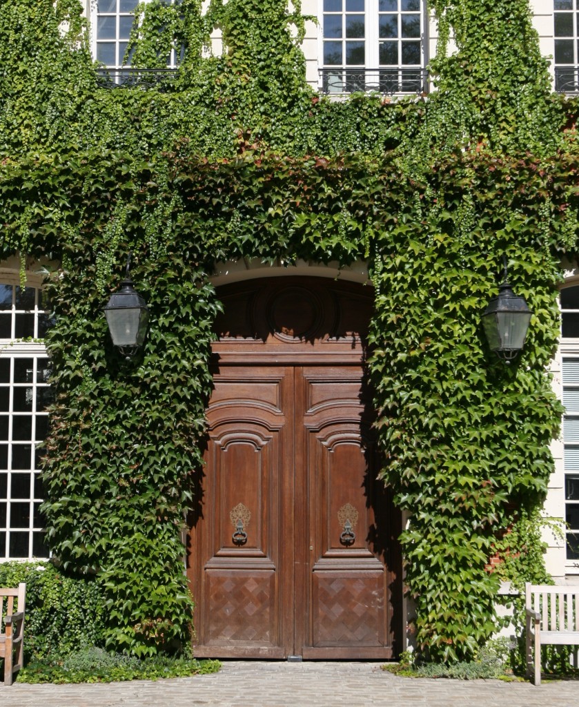 Ivy surrounded front door