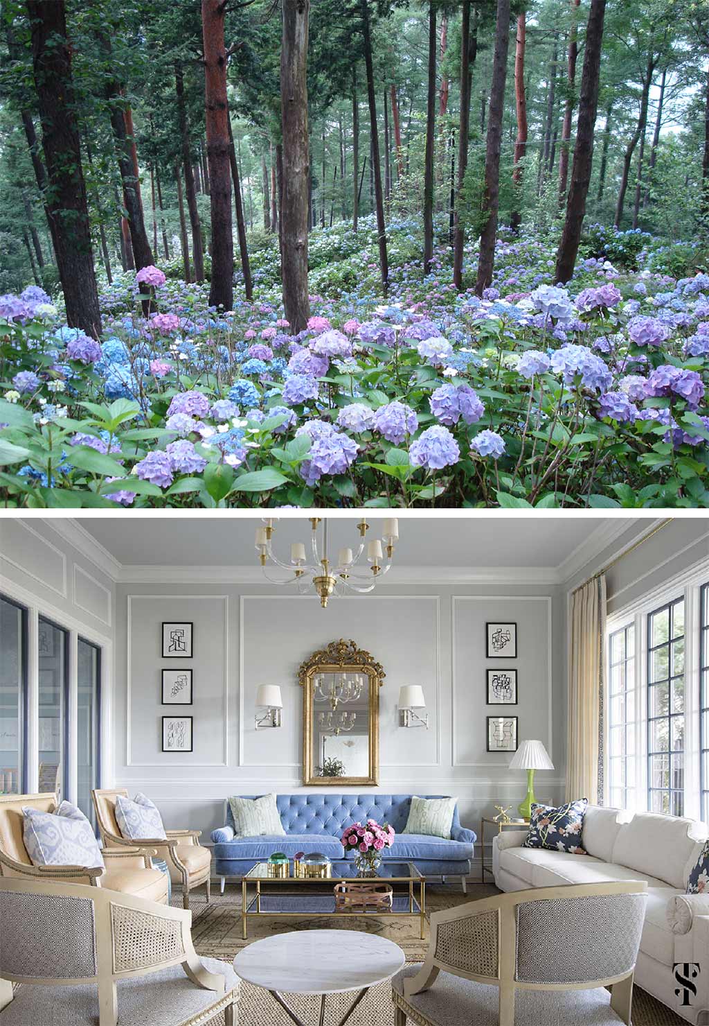 Hydrangeas, forest, Japan. Color in nature. Chic dental office by Summer Thornton Design