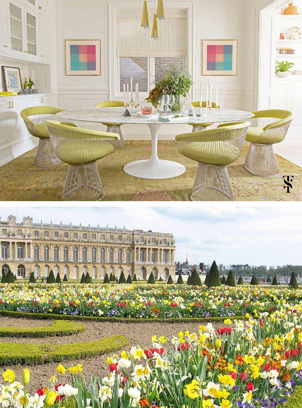 Lincoln Park dining room, chartreuse, by Summer Thornton Design. Gardens at Chateau de Versailles, France, daffodils, tulips, trees, Trover, Mark Rentz.